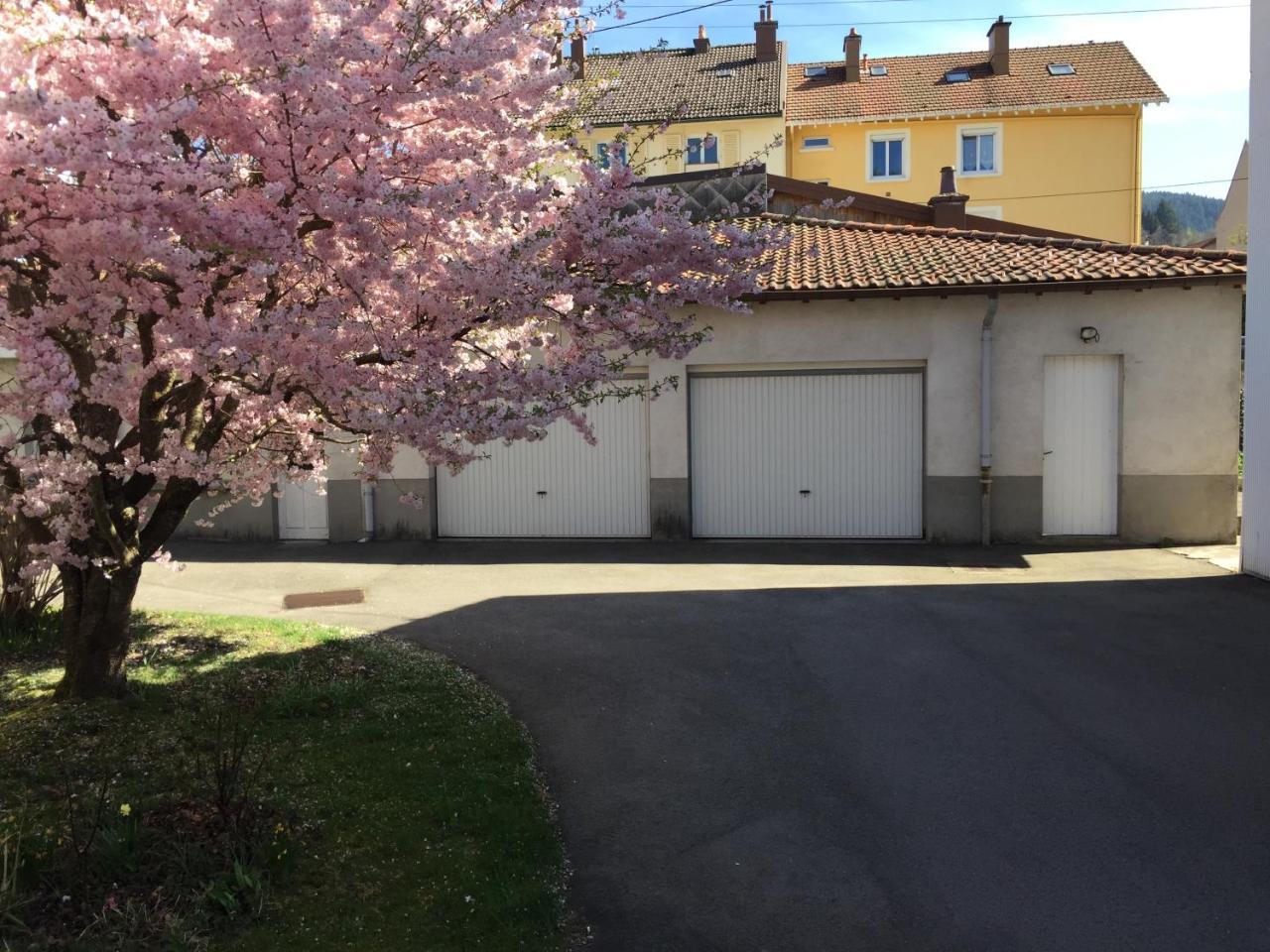 Le Chamois Apartment Gérardmer Екстериор снимка